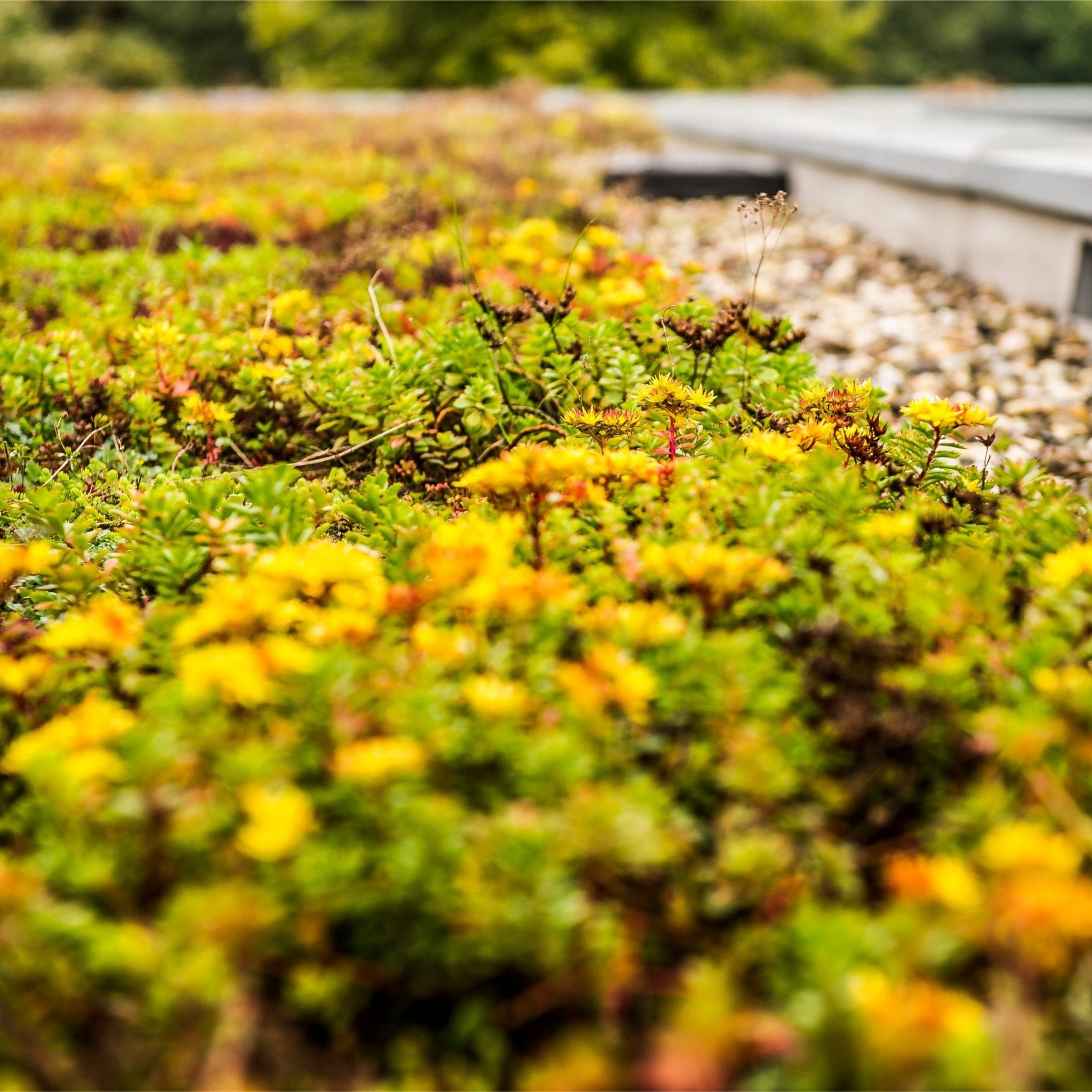 Sustainability